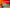 yu-gi-oh booster packs