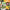 Discover the Best Local Pokémon Trading Card Events in Saint-Michel - Card Brawlers