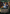 Second Harvest (Borderless) [The Lord of the Rings: Tales of Middle-Earth Commander] - Magic: The Gathering - Card Brawlers | Quebec | Canada |