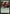 Wood Elves [Duel Decks: Nissa vs. Ob Nixilis] - Magic: The Gathering - Card Brawlers | Quebec | Canada |