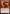 Gleeful Arsonist [Duskmourn: House of Horror Commander] - Magic: The Gathering - Card Brawlers | Quebec | Canada |