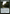 Sylvan Library [Dominaria Remastered] - Magic: The Gathering - Card Brawlers | Quebec | Canada |