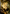 Storm the Festival Art Card (Gold-Stamped Signature) [Innistrad: Midnight Hunt Art Series] - Magic: The Gathering - Card Brawlers | Quebec | Canada |