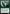 Cryptid Inspector [Duskmourn: House of Horror] - Magic: The Gathering - Card Brawlers | Quebec | Canada |