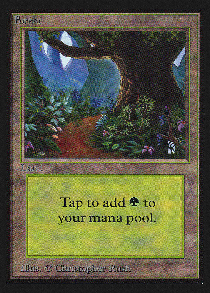 Forest (Flower Path) [International Collectors' Edition] - Magic: The Gathering - Card Brawlers | Quebec | Canada |