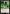 Pulse Tracker [Duel Decks: Jace vs. Vraska] - Magic: The Gathering - Card Brawlers | Quebec | Canada |