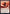 Crackle with Power (Promo Pack) [Strixhaven: School of Mages Promos] - Magic: The Gathering - Card Brawlers | Quebec | Canada |