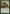 Realm Seekers [Conspiracy] - Magic: The Gathering - Card Brawlers | Quebec | Canada |