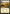 Plains (264) [Core Set 2019] - Magic: The Gathering - Card Brawlers | Quebec | Canada |
