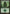 Forest (169) [Planechase] - Magic: The Gathering - Card Brawlers | Quebec | Canada |