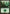 Forest (90) [Duel Decks: Izzet vs. Golgari] - Magic: The Gathering - Card Brawlers | Quebec | Canada |