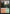 Timber Gorge [Core Set 2019] - Magic: The Gathering - Card Brawlers | Quebec | Canada |