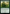 Sprouting Renewal [Ravnica Remastered] - Magic: The Gathering - Card Brawlers | Quebec | Canada |