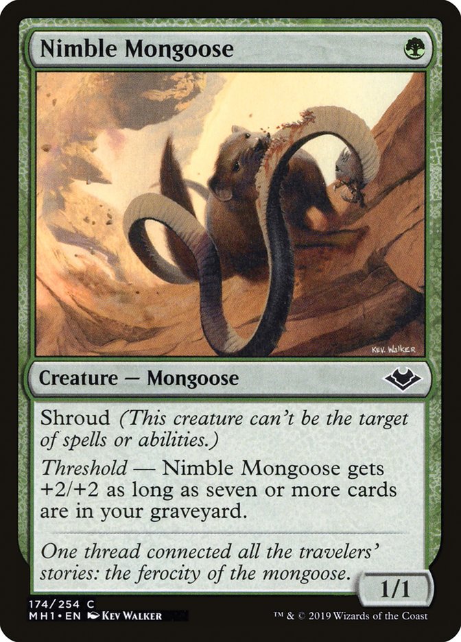 Nimble Mongoose [Modern Horizons] - Magic: The Gathering - Card Brawlers | Quebec | Canada |