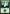 Forest (63) [Duel Decks: Mind vs. Might] - Magic: The Gathering - Card Brawlers | Quebec | Canada |