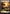 Plains (252) (Full Art) [Battle for Zendikar] - Magic: The Gathering - Card Brawlers | Quebec | Canada |