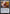 Golos, Tireless Pilgrim (Promo Pack) [Core Set 2020 Promos] - Magic: The Gathering - Card Brawlers | Quebec | Canada |