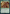 Bone Sabres [Warhammer 40,000] - Magic: The Gathering - Card Brawlers | Quebec | Canada |