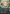 Greater Auramancy (Anime Borderless) [Wilds of Eldraine: Enchanting Tales] - Magic: The Gathering - Card Brawlers | Quebec | Canada |