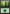 Forest (151) [Planechase Anthology] - Magic: The Gathering - Card Brawlers | Quebec | Canada |