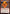 Wildfire Elemental [Foundations Jumpstart] - Magic: The Gathering - Card Brawlers | Quebec | Canada |