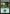 Forest (279) [Core Set 2020] - Magic: The Gathering - Card Brawlers | Quebec | Canada |