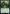Elvish Archdruid [Game Night: Free-for-All] - Magic: The Gathering - Card Brawlers | Quebec | Canada |