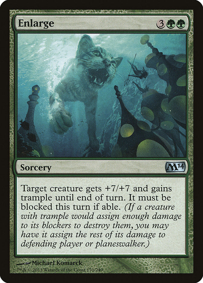 Enlarge [Magic 2014] - Magic: The Gathering - Card Brawlers | Quebec | Canada |