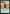 The Cabbage Merchant [Avatar: The Last Airbender: Eternal-Legal] - Magic: The Gathering - Card Brawlers | Quebec | Canada |