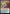 Wyll's Reversal [Commander Legends: Battle for Baldur's Gate Prerelease Promos] - Magic: The Gathering - Card Brawlers | Quebec | Canada |
