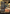 Revival of the Ancestors (Borderless) [Tarkir: Dragonstorm] - Magic: The Gathering - Card Brawlers | Quebec | Canada |