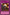 Blasting Fuse [CDIP-EN049] Rare - Yu-Gi-Oh! - Card Brawlers | Quebec | Canada |