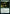 Harmonize [Time Spiral Remastered] - Magic: The Gathering - Card Brawlers | Quebec | Canada |
