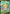 Leafeon V (007/203) [Sword & Shield: Evolving Skies] - Pokémon - Card Brawlers | Quebec | Canada |