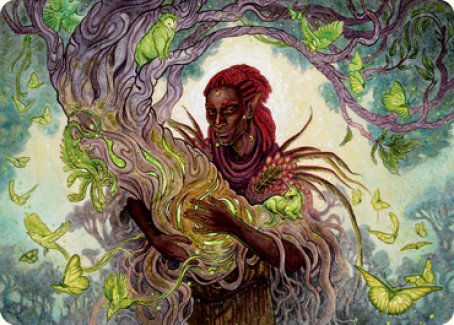 Circle of Dreams Druid Art Card [Dungeons & Dragons: Adventures in the Forgotten Realms Art Series] - Magic: The Gathering - Card Brawlers | Quebec | Canada |