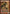 Stormblood Berserker (Extended Art) [Magic 2012 Promos] - Magic: The Gathering - Card Brawlers | Quebec | Canada |