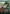 Nature's Will (Anime Borderless) [Wilds of Eldraine: Enchanting Tales] - Magic: The Gathering - Card Brawlers | Quebec | Canada |