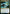 Dormant Sliver [Time Spiral Remastered] - Magic: The Gathering - Card Brawlers | Quebec | Canada |