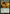 Crop Rotation [Mystery Booster] - Magic: The Gathering - Card Brawlers | Quebec | Canada |