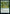 Overgrown Arch [Strixhaven: School of Mages] - Magic: The Gathering - Card Brawlers | Quebec | Canada |