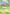 Koffing (72/113) [EX: Delta Species] - Pokémon - Card Brawlers | Quebec | Canada |