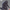 X-Plus - TOHO Kaiju Wars Series - Gigantis Standard Version - (PREORDER) December 15, 2026