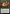 Darkbore Pathway // Slitherbore Pathway [Secret Lair: From Cute to Brute] - Magic: The Gathering - Card Brawlers | Quebec | Canada |