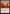 Fire Nation's Conquest [Avatar: The Last Airbender: Eternal-Legal] - Magic: The Gathering - Card Brawlers | Quebec | Canada |