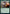 Yavimaya, Cradle of Growth [Modern Horizons 2 Prerelease Promos] - Magic: The Gathering - Card Brawlers | Quebec | Canada |