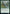 Citanul Woodreaders [Time Spiral Remastered] - Magic: The Gathering - Card Brawlers | Quebec | Canada |