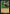 Reclamation Sage (Timeshifted) [Time Spiral Remastered] - Magic: The Gathering - Card Brawlers | Quebec | Canada |