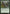Citanul Woodreaders [Mystery Booster] - Magic: The Gathering - Card Brawlers | Quebec | Canada |