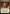 Reigning Victor [Tarkir: Dragonstorm] - Magic: The Gathering - Card Brawlers | Quebec | Canada |