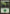 Forest (248) [Magic 2010] - Magic: The Gathering - Card Brawlers | Quebec | Canada |